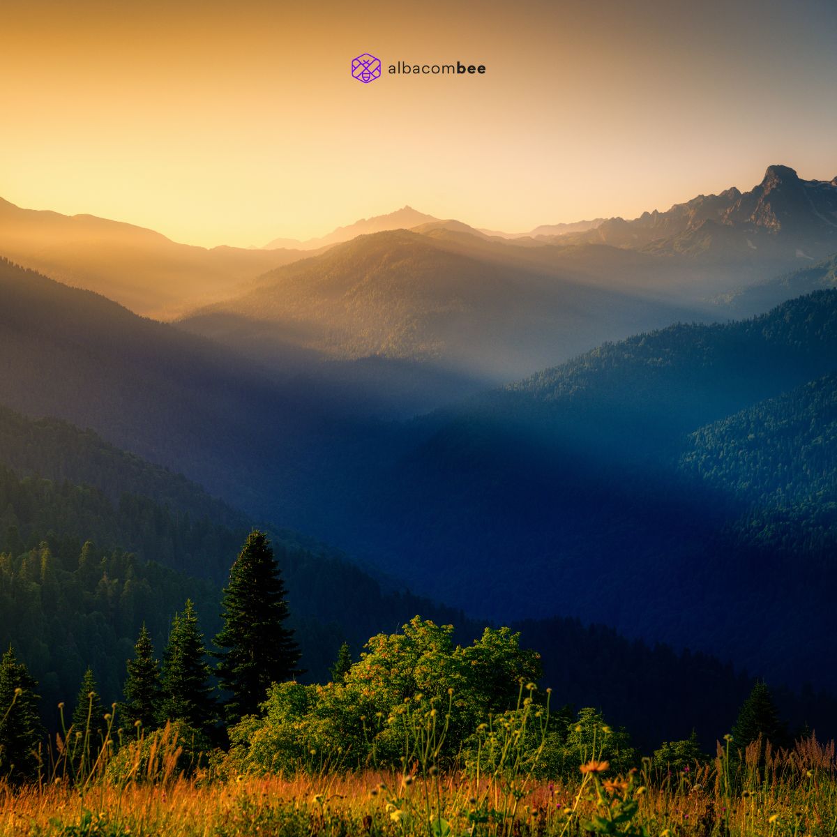 Règlement sur la restauration de la nature - agir à toutes les échelles
