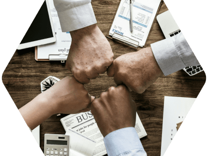 mission social conseil albacombee