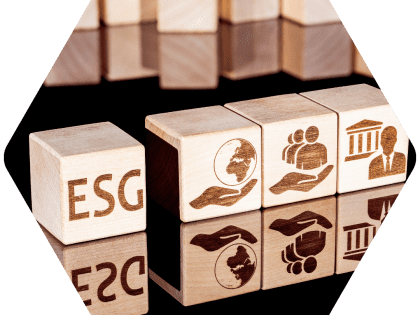 mission rse esg conseil albacombee