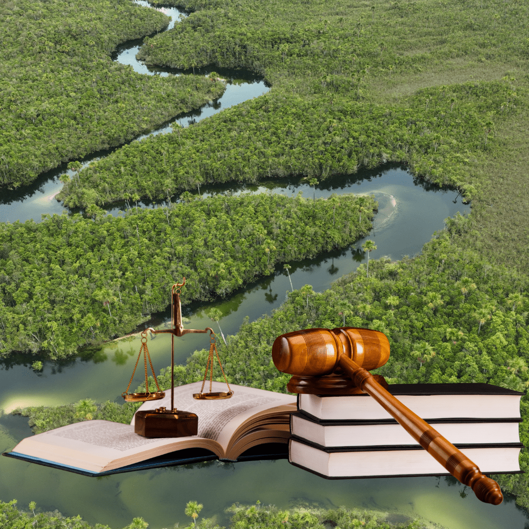 Principes et enjeux du droit de l’environnement