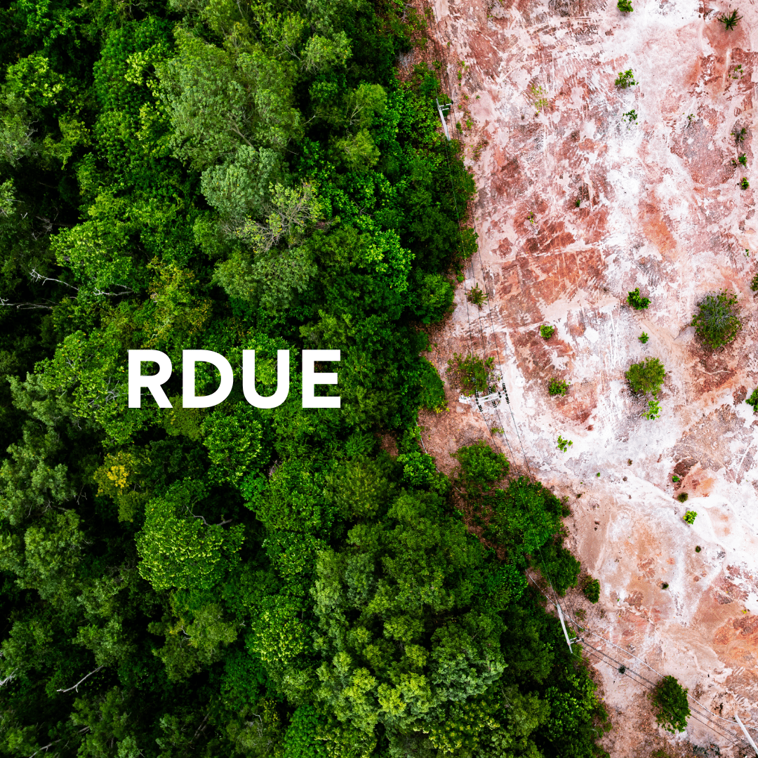 RDUE – Décrypter le règlement européen contre la déforestation et la dégradation des forêts
