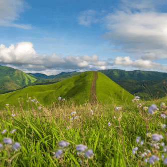 biodiversité levier rentabilité pour entreprise
