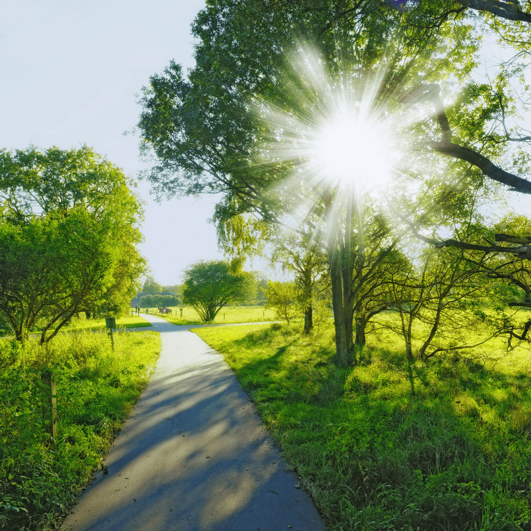 Construire un plan de transition biodiversité