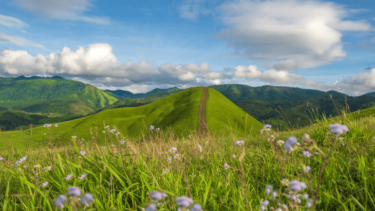 biodiversité levier rentabilité pour entreprise