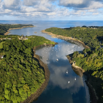 journée mondiale biodiversité 2026