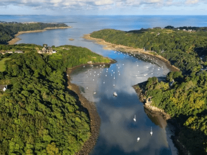 journée mondiale biodiversité 2026