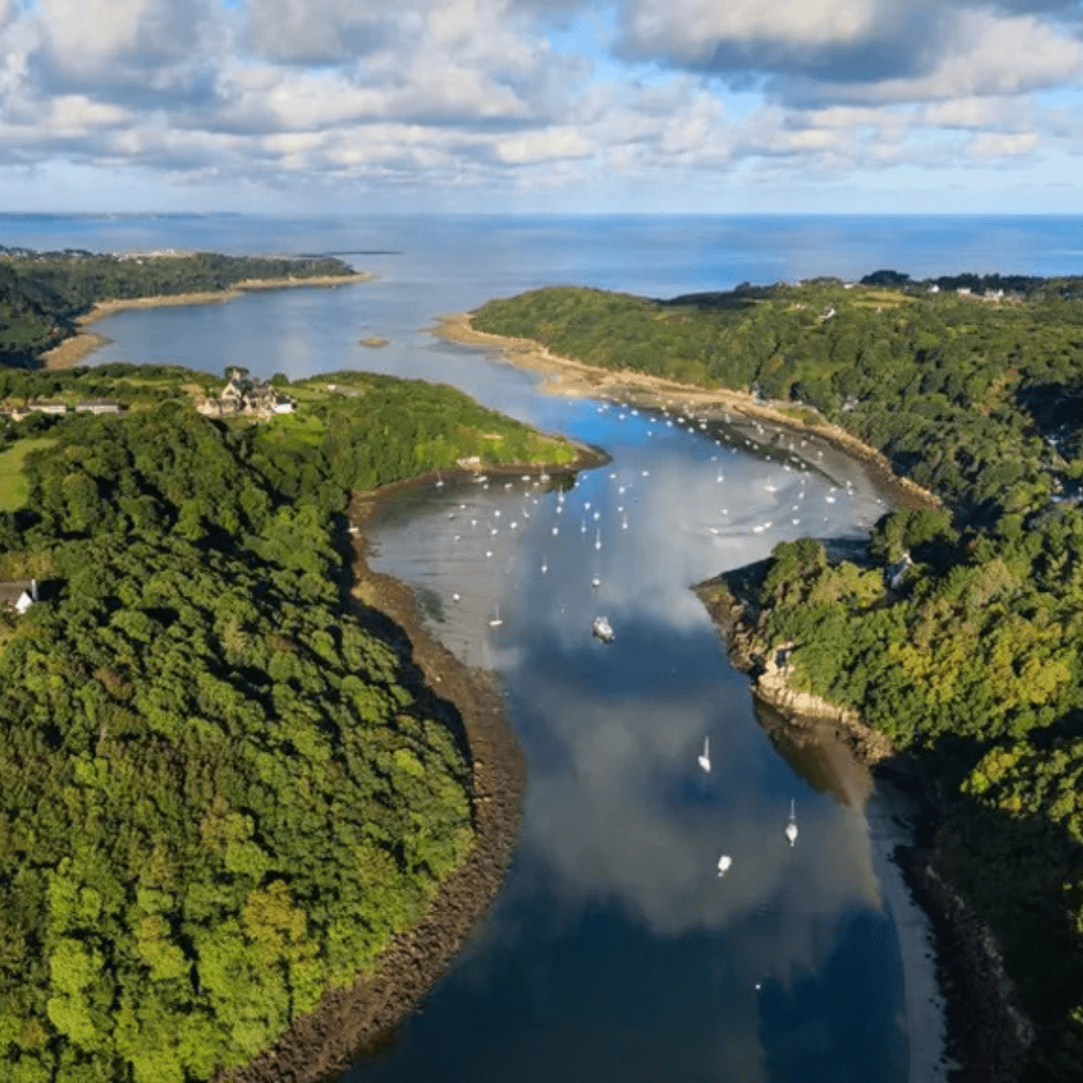 journée mondiale biodiversité 2026