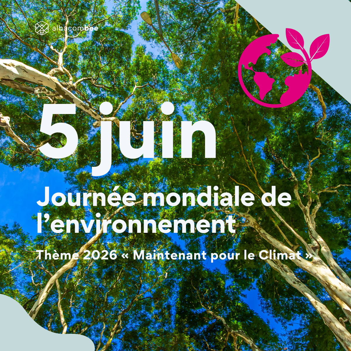 Journée mondiale de l'environnement 2026 : agir maintenant