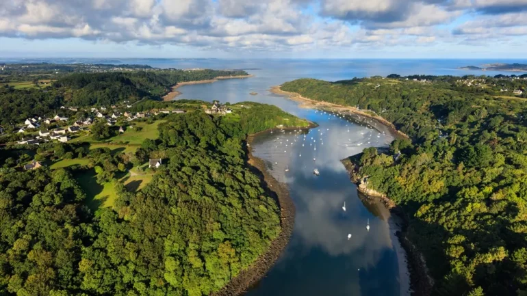 journée mondiale biodiversité 2026